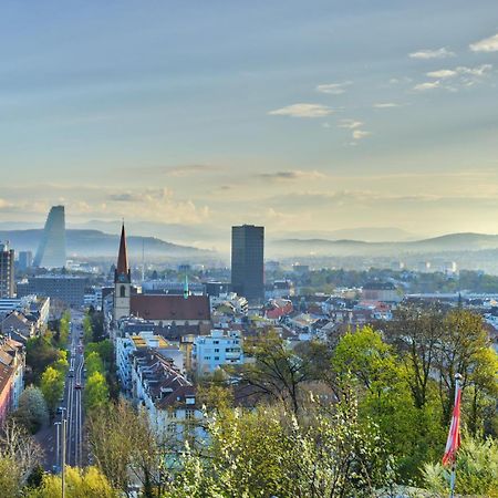 Special Retreat Apartment & Home-Office & Workplace Basel Eksteriør billede